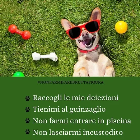 Neverland Santa Maria (Vibo Valentia)